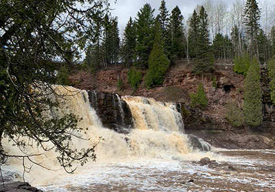 waterfall with tree in front