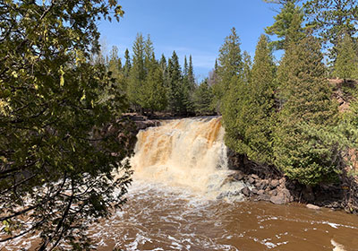 waterfall behind tree and next to pine trees