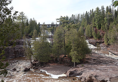 Trees along river