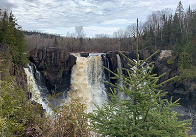 Trees in front of waterfall