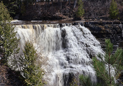 Trees in front of waterfall