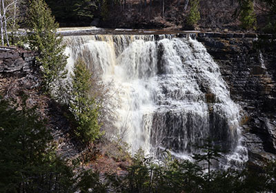 Trees to South of waterfall