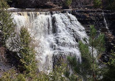 waterfall with trees in foreground