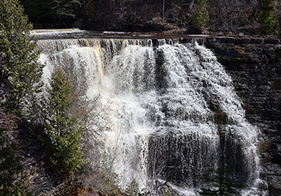 Trees on left of waterfall