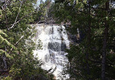 waterfall visible through tree branches