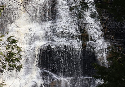 Closeup of waterfall next to tree