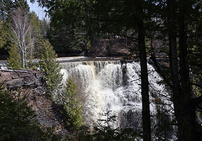 waterfall beyond trees