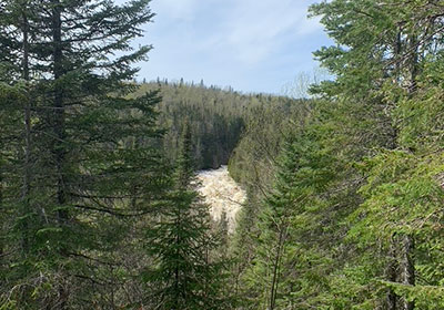 Stairway on path at Judge C.R. Magney State Park