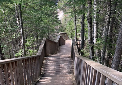 Judge C.R. Magney State Park path stairs