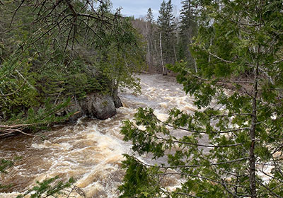 River beyond trees