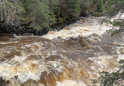 Raging rapid of river