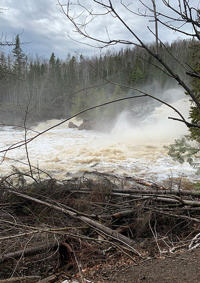 Mist from waterfall beyond down trees