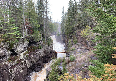 Log lays across river in the distance