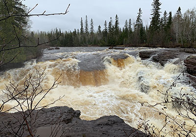 Trees beyond river