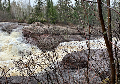 Tree branches block river view