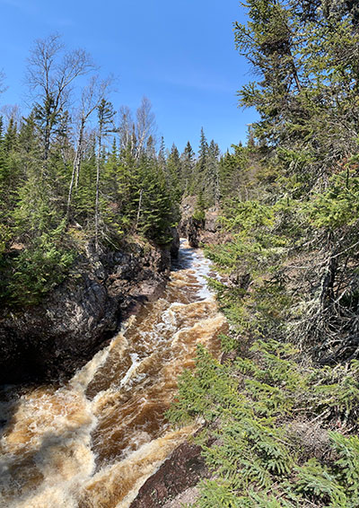 Trees line the shore of the river