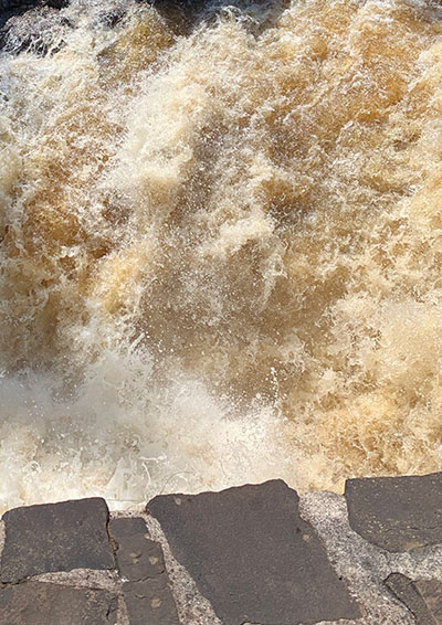 Closeup of rapid