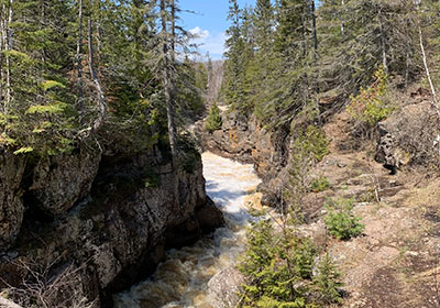 Tree over river