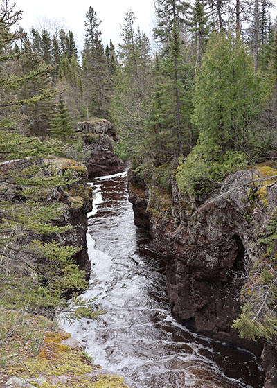 Trees along river