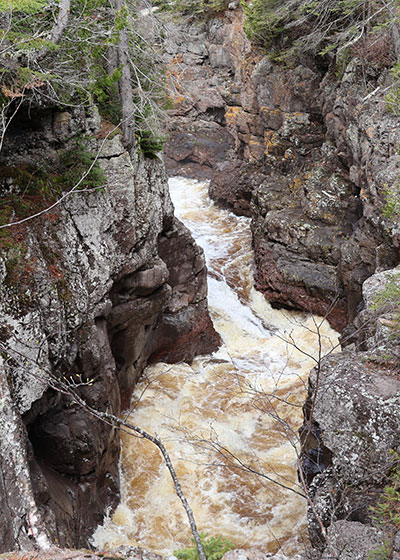 Trees and rocks along river