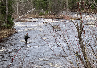 Man fishing