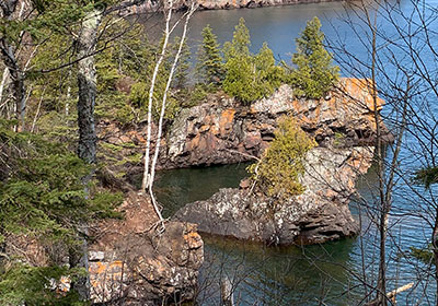 Trees growing on rock islands as seen from cliff