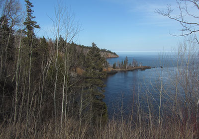 Trees in front of lake in early spring
