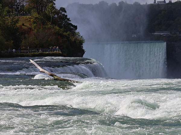 Closeup of Niagara Falls from American side with log in the water