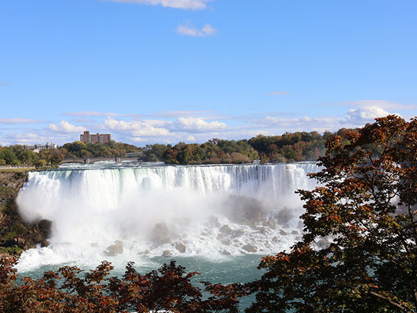 Trees in foreground and Niagara Falls in the background as viewed from Canadian side