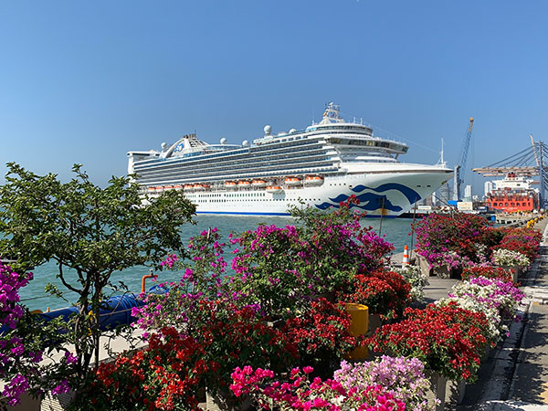 Flowers with Caribbean Princess behind
